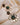Big Round Shaped Crystal Earrings - Emeral