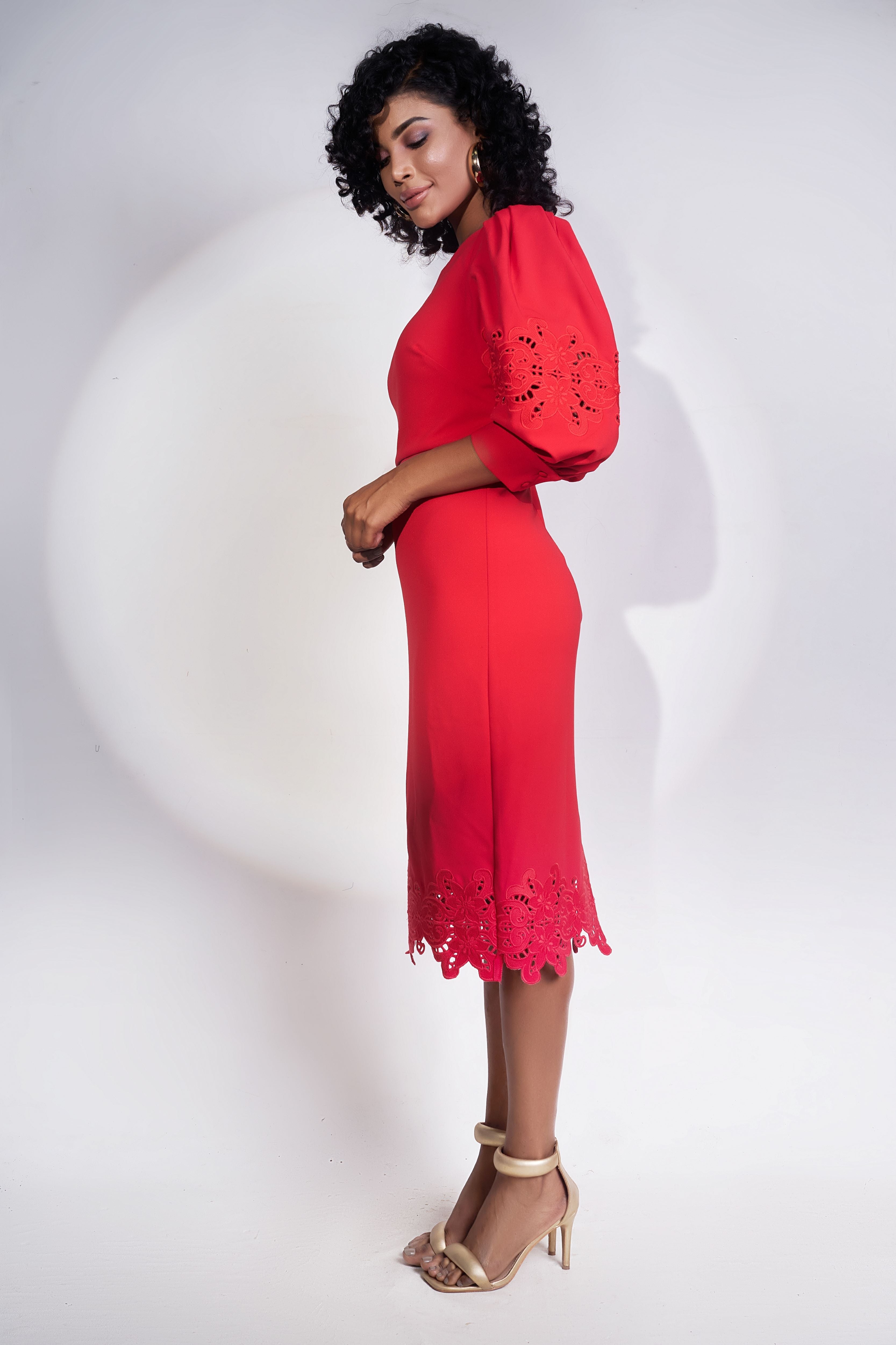 Lantern Sleeve Embroidery dress - Red